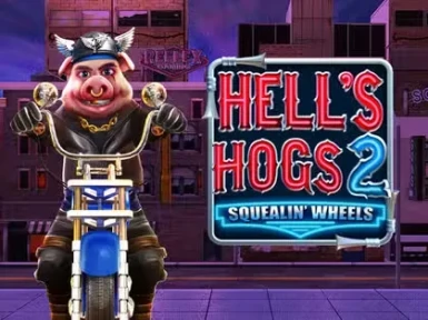 Wildrobin Casino screenshot